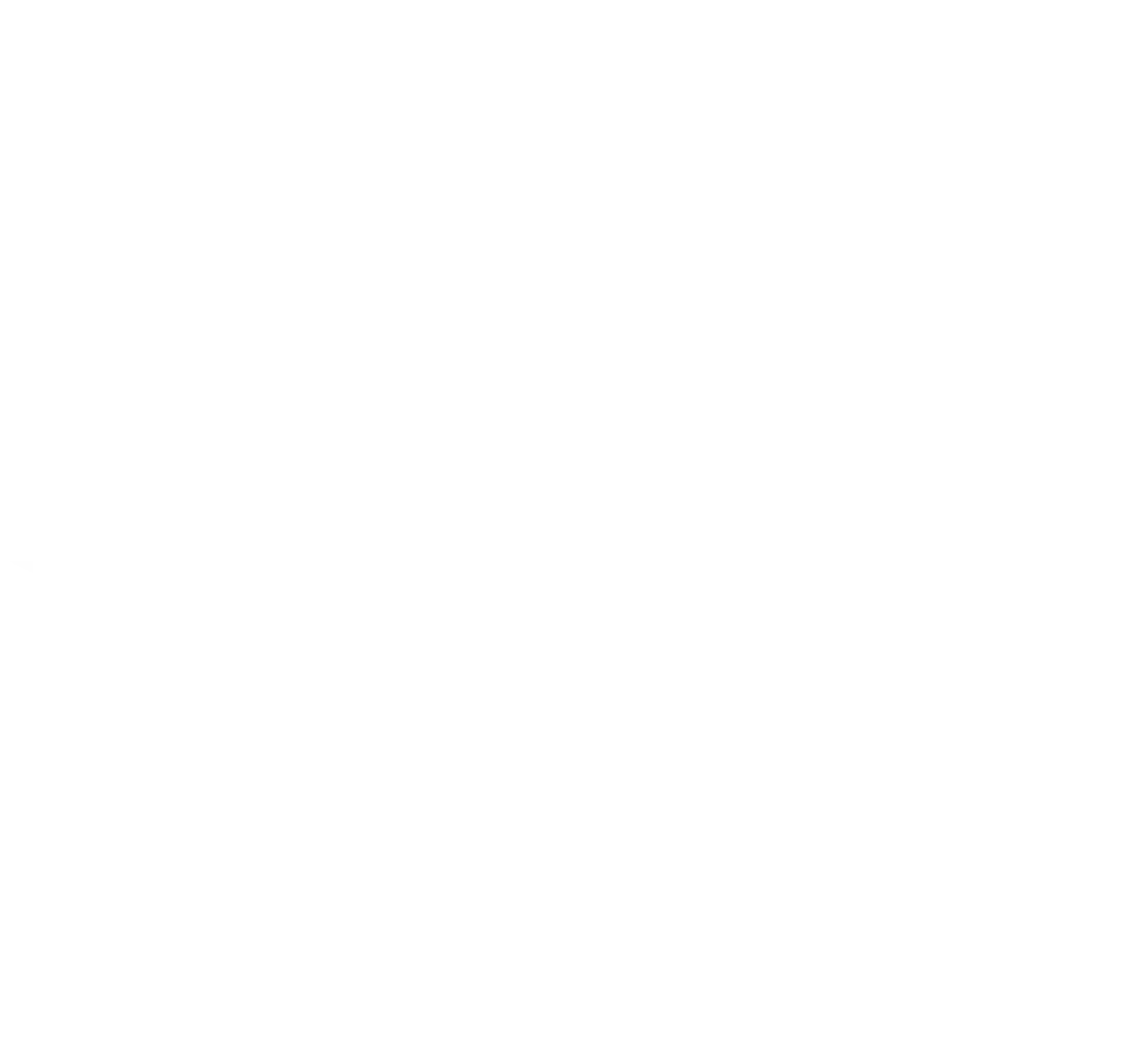 Nilody Dark Logo