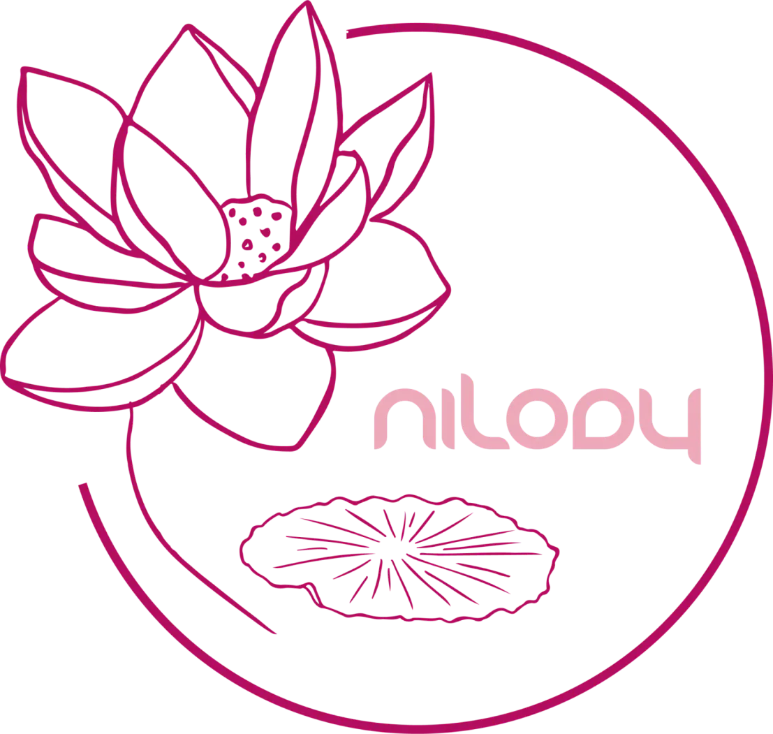 Nilody Logo